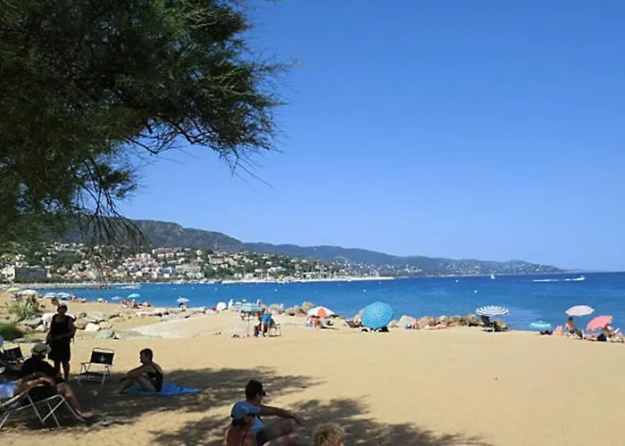 Cosy A 100m De La Plage, Clim, Wifi, Piscine